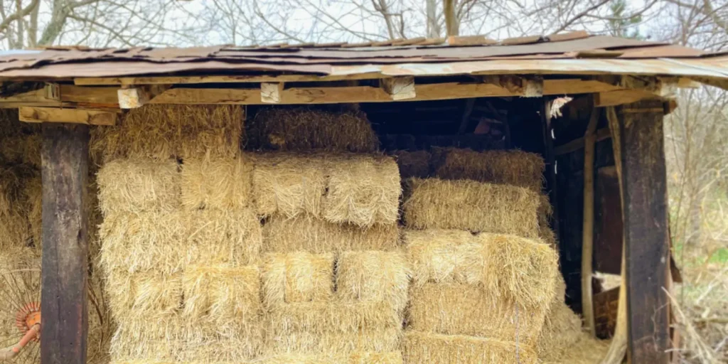 Tinglado rústico de madera con fardos de pasto apilados bajo techo